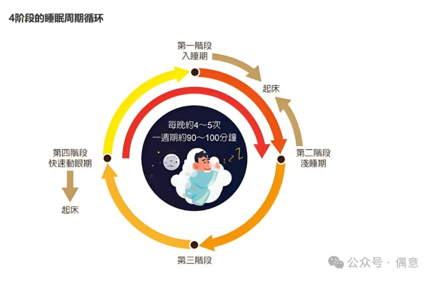 遵循合理的睡眠周期-偶意公众号