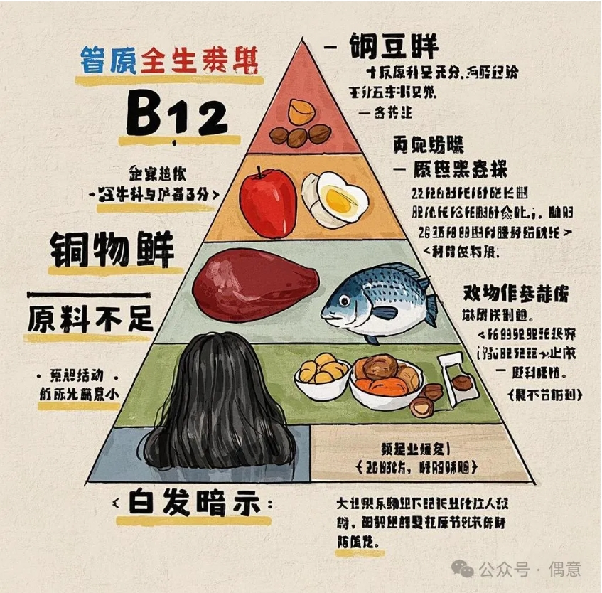 营养缺失：身体的-偶意公众号