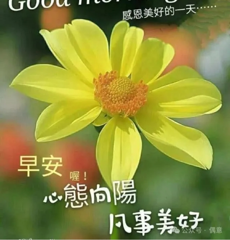 总结高情商加微信的魅力-偶意公众号