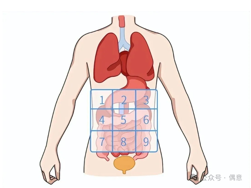 不同部位的疼痛，往往代表着不同的健康问题-偶意公众号